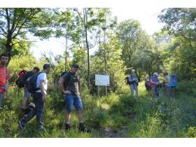 photo coins arrondis