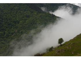 photo coins arrondis