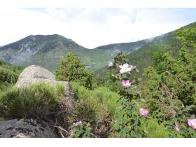 photo coins arrondis