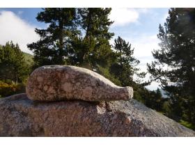 photo coins arrondis