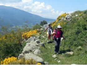 photo coins arrondis