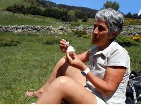 photo coins arrondis