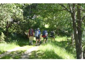 photo coins arrondis