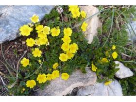 photo coins arrondis