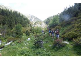 photo coins arrondis