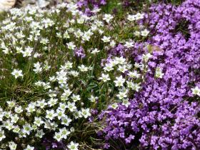 photo coins arrondis