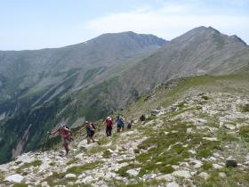 photo coins arrondis