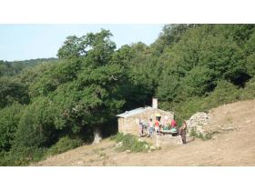 photo coins arrondis