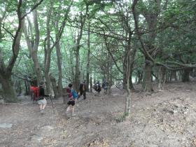 photo coins arrondis