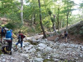 photo coins arrondis