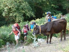 photo coins arrondis