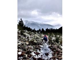 photo coins arrondis