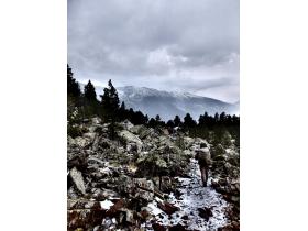 photo coins arrondis