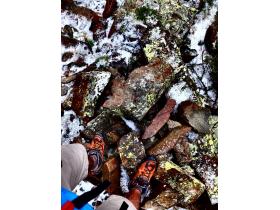 photo coins arrondis