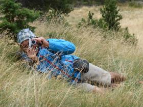 photo coins arrondis