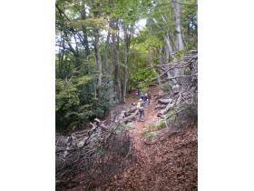 photo coins arrondis