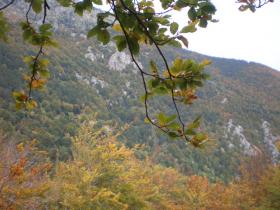 photo coins arrondis