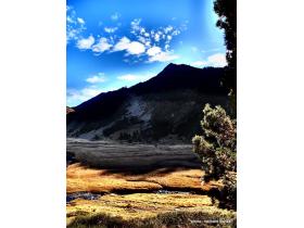 photo coins arrondis