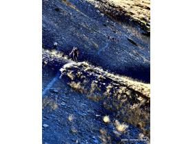 photo coins arrondis