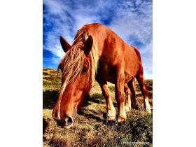 photo coins arrondis