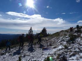 photo coins arrondis