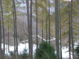 photo coins arrondis