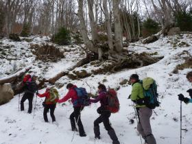 photo coins arrondis