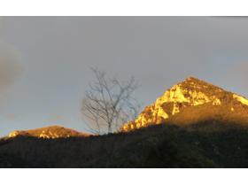 photo coins arrondis