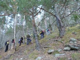 photo coins arrondis