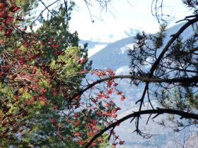 photo coins arrondis