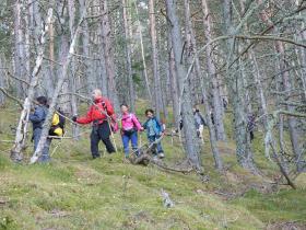 photo coins arrondis