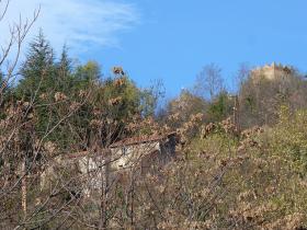 photo coins arrondis