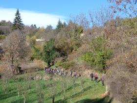 photo coins arrondis