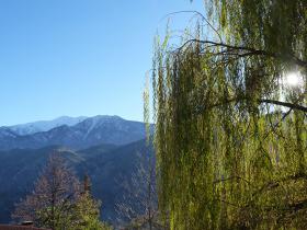 photo coins arrondis