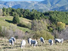 photo coins arrondis