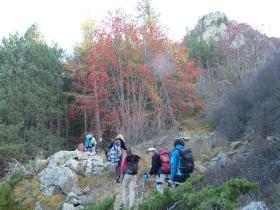 photo coins arrondis