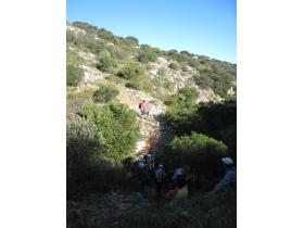 photo coins arrondis