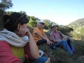 photo coins arrondis