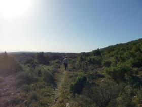 photo coins arrondis