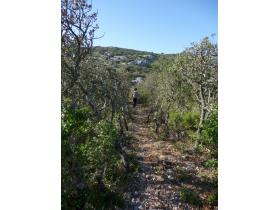 photo coins arrondis