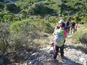 photo coins arrondis