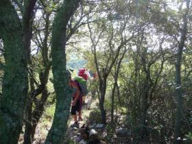 photo coins arrondis