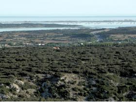 photo coins arrondis