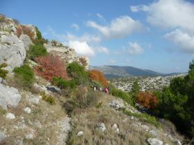 photo coins arrondis