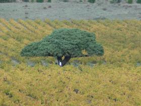 photo coins arrondis