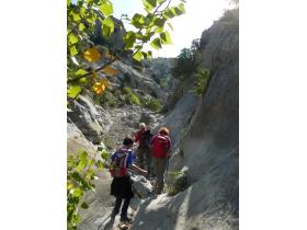 photo coins arrondis