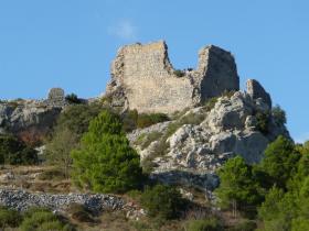 photo coins arrondis