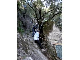 photo coins arrondis