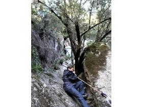 photo coins arrondis