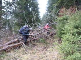 photo coins arrondis